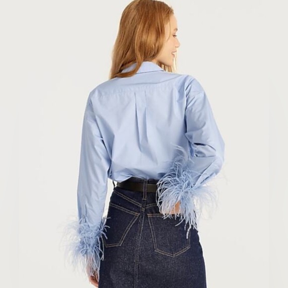 J.Crew Collection Feather Trim Poplin Button-Up Shirt | Size 14 | Blue - Picture 3 of 15